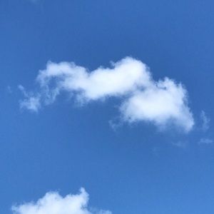 Meet your Posher, Isaac